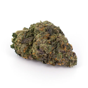 Gelato 45