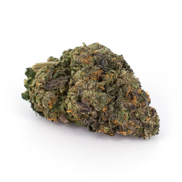 Gelato 45