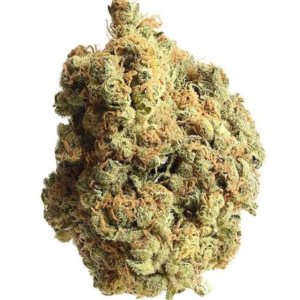 Jack Herer