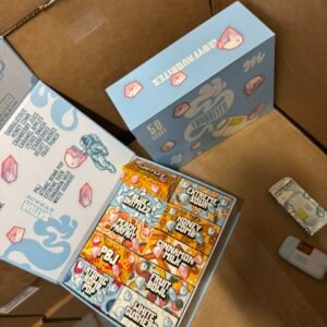 Favorites 2G Mini Disposables wholesale